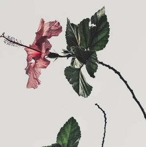 Meet your Posher, Natalia